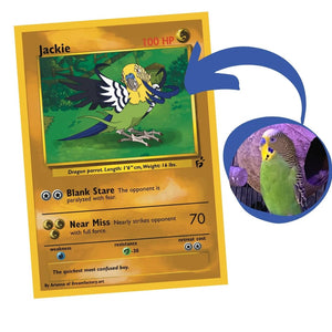 Custom PKM Card