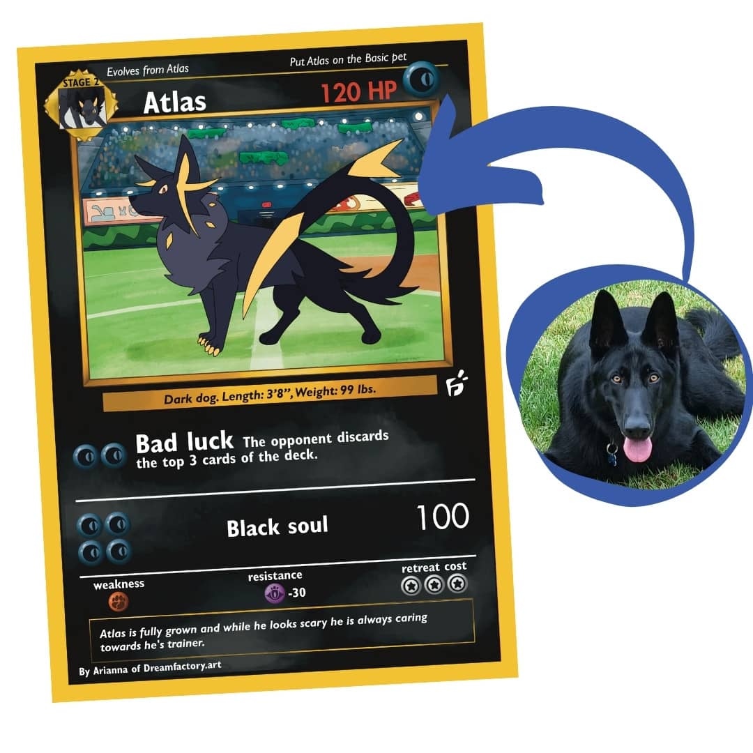 Custom Your as a Pet Pokémon Card Set Evolutions 