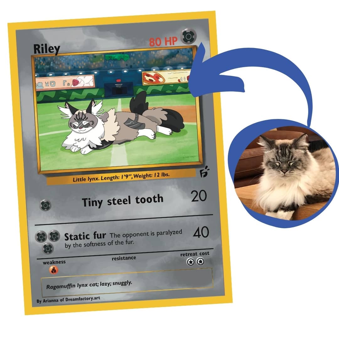 Custom Your as a Pet Pokémon Card Set Evolutions 